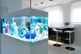 salon Microcemento